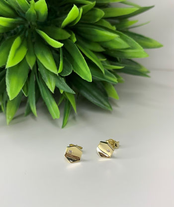 Image de Boucles d'oreilles en or jaune avec zircon cubique