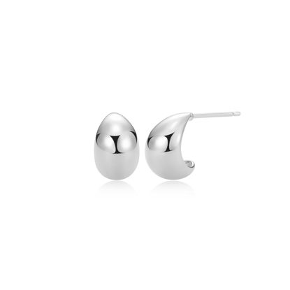 Image de Boucles d'oreilles R2ATSKA08J en argent 925 de la Collection Reign